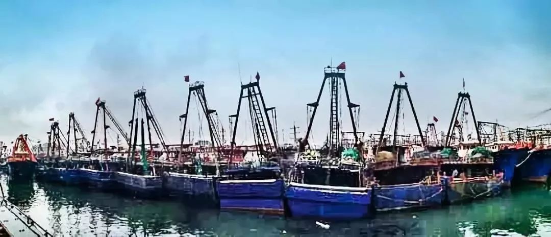 玉林侬，冲鸭！北海8月16日开海，教你在哪里买海鲜最新鲜，最实惠~