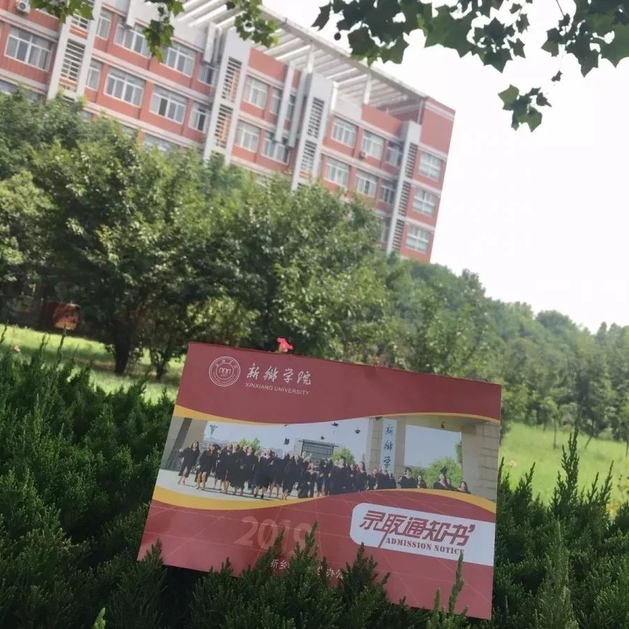 河南高校花式录取通知书,大学录取通知书河南省