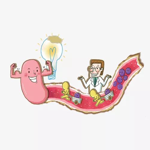 肠漏是真的漏了吗,肠漏症的症状及中医治疗方法