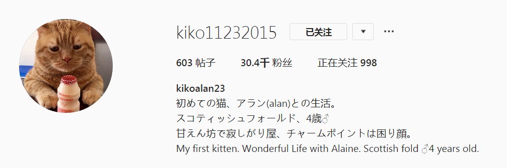 日本小丧猫凭“厌世脸”火遍全网，30w网友心都被萌化了…