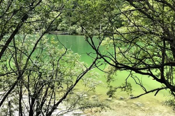 暑假游稻城亚丁多少钱,暑假稻城亚丁全国性免费开放