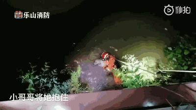 高温天气怎么让狗狗避暑,高温天气如何给狗狗降温