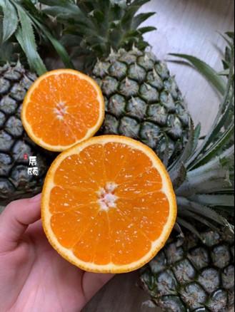 辰颐物语水果代理平台,辰颐物语果园直发招代理