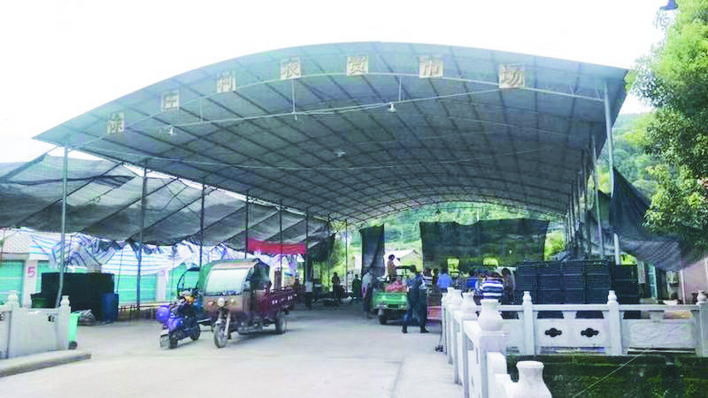 沈阳水果批发市场桃子代销,市区水果店能开桃子代销吗