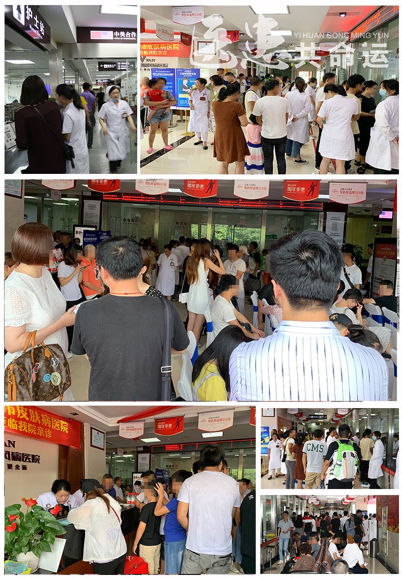 鐧芥枒鏅煡,浜戝崡鐪佺櫧鐧滈鏅煡琛ュ姪