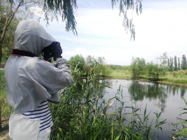 南湖湿地公园图片大全,南湖湿地公园四季风景皆美