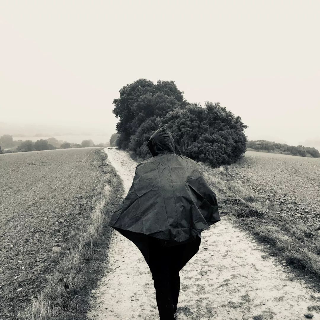 寰掓琛岃蛋鐨勮繃绋嬩綋楠屽拰鏀惰幏,绗竴娆″緬姝ヤ笉鍚屼汉缇ょ殑寰掓鎰熷彈