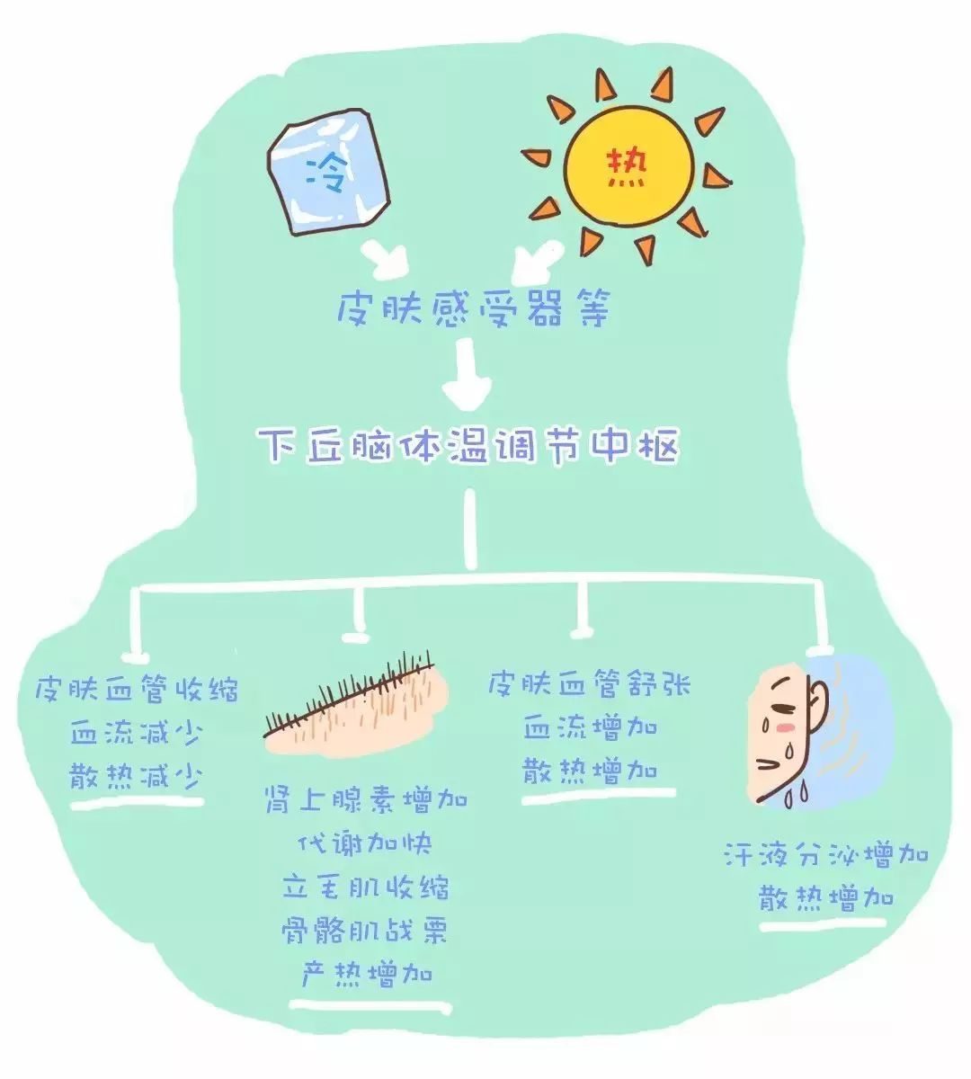高温下警惕热射病中暑后牢记4点,如何在炎热天气预防中暑和热射病