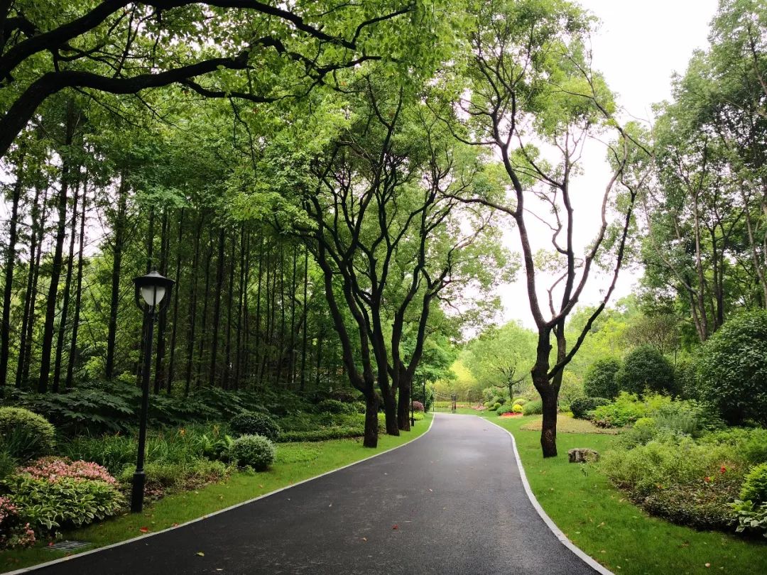 西郊宾馆美如画,西郊宾馆5000平别墅