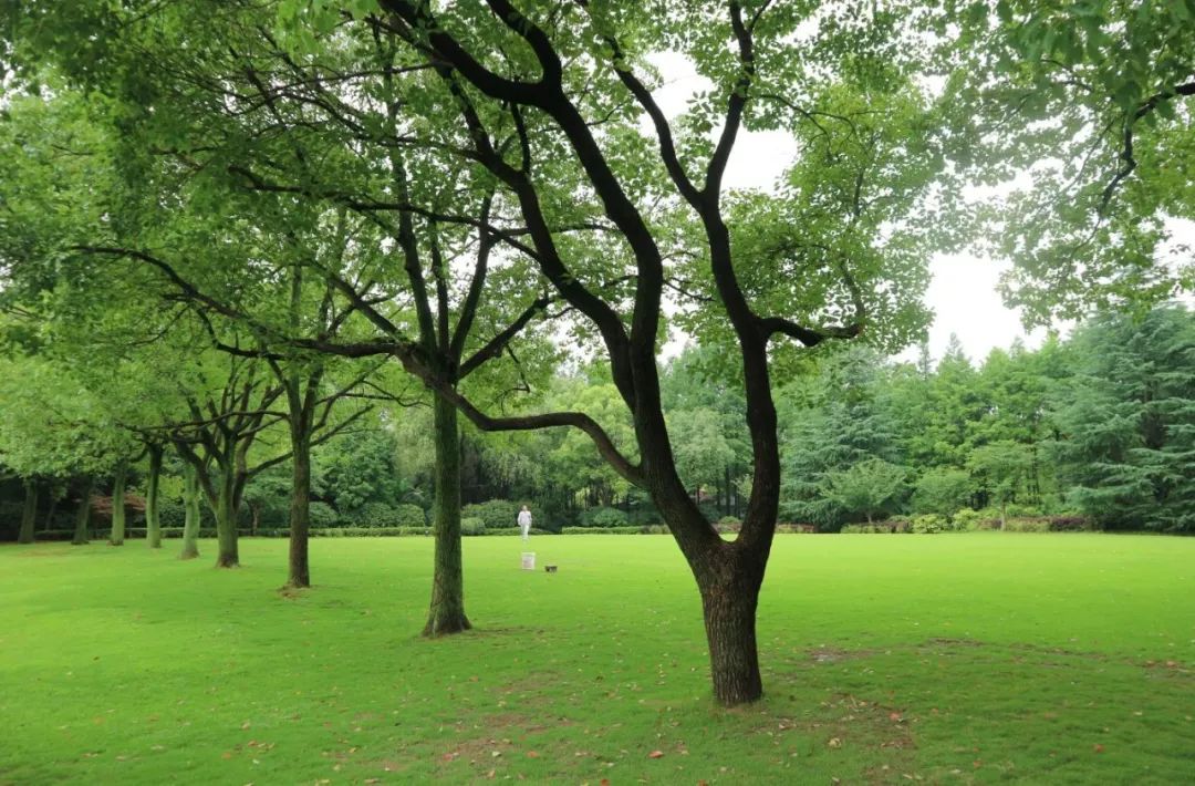 西郊宾馆美如画,西郊宾馆5000平别墅