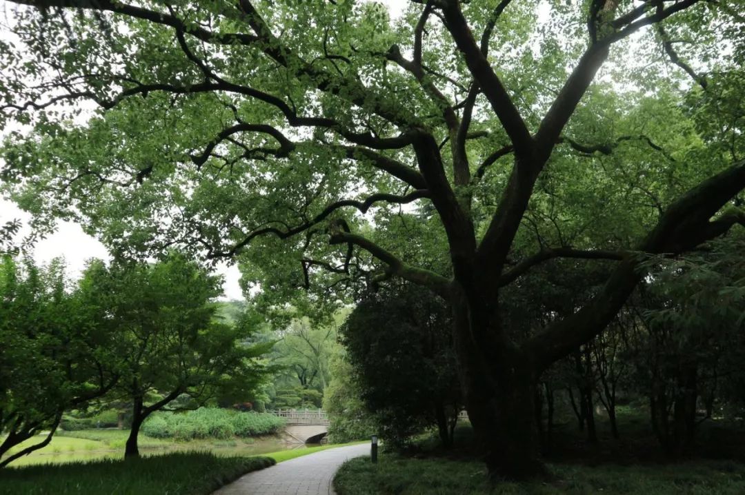 西郊宾馆美如画,西郊宾馆5000平别墅