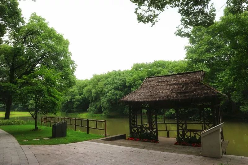 西郊宾馆美如画,西郊宾馆5000平别墅