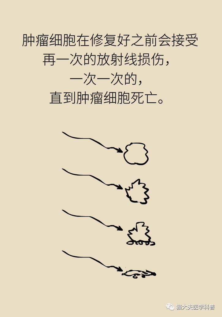 放疗和化疗的区别科普,放疗化疗相关知识