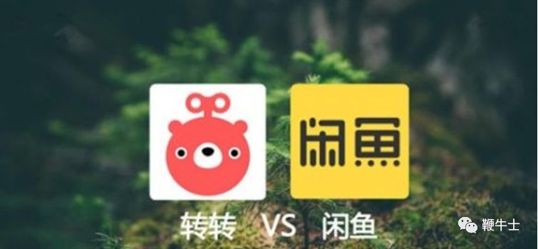 非法倒卖保护动物,非法买卖动物产品