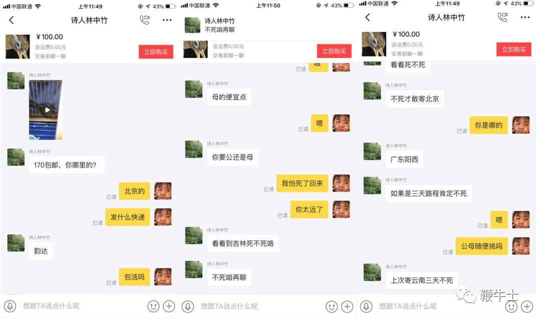 非法倒卖保护动物,非法买卖动物产品