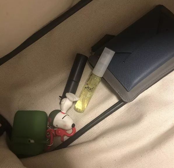 狮子月的运气如何,狮子九月运势