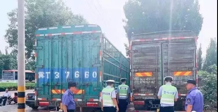 今日new衡水丨衡水1女子4只手指被绞断！高速上，一头乱窜的猪闯祸了···