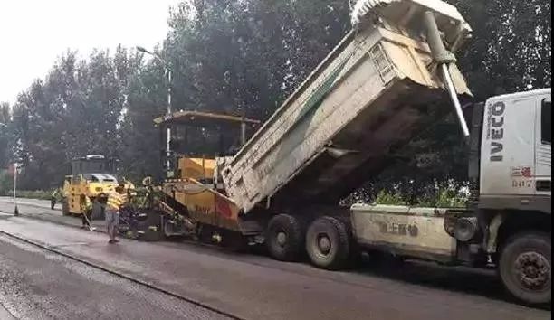 今日new衡水丨衡水1女子4只手指被绞断！高速上，一头乱窜的猪闯祸了···