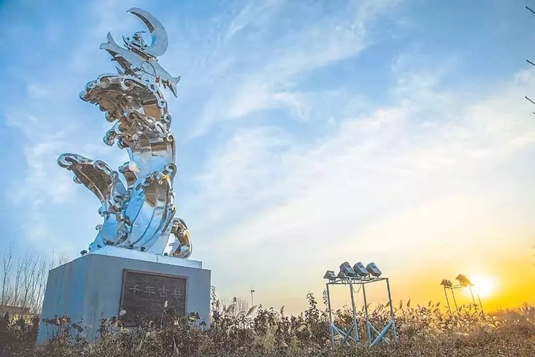 今日new衡水丨衡水1女子4只手指被绞断！高速上，一头乱窜的猪闯祸了···