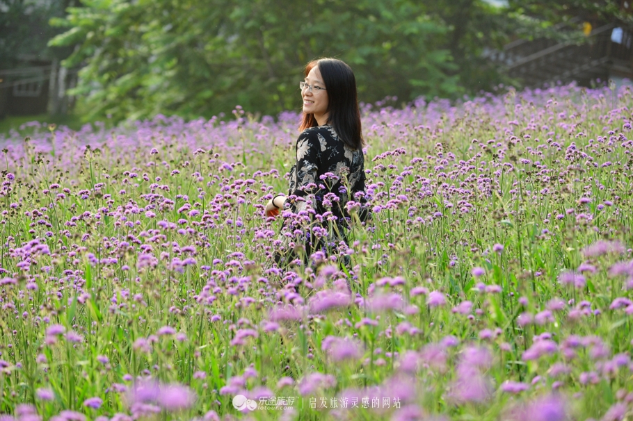 云岭深山自然美景,云岭野山参风景旅游区