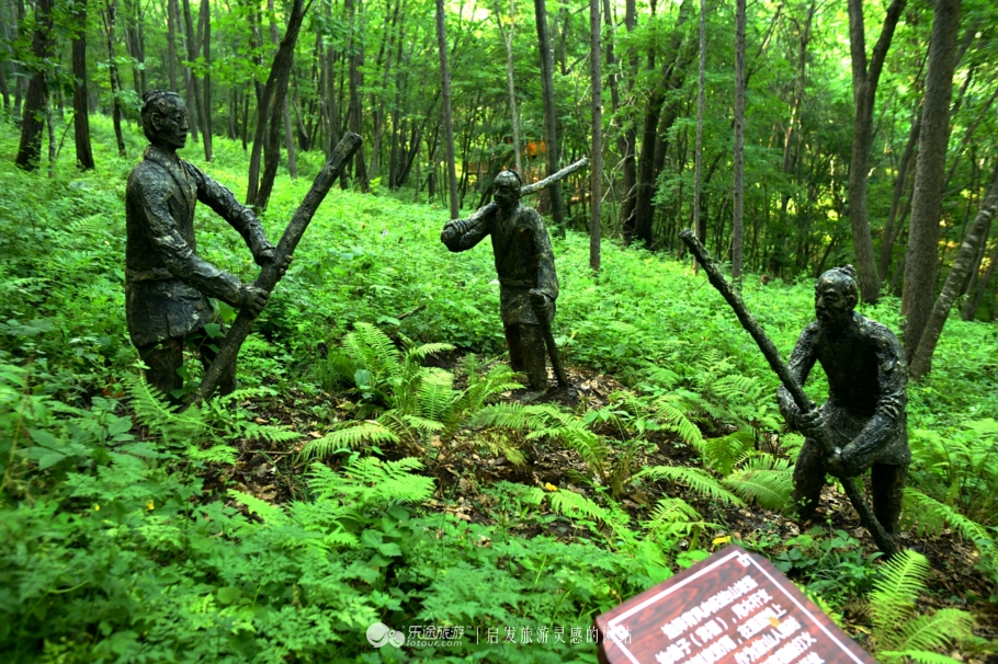 云岭深山自然美景,云岭野山参风景旅游区