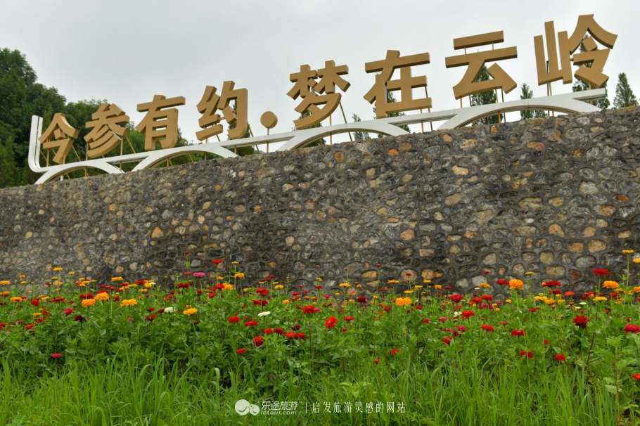 云岭深山自然美景,云岭野山参风景旅游区