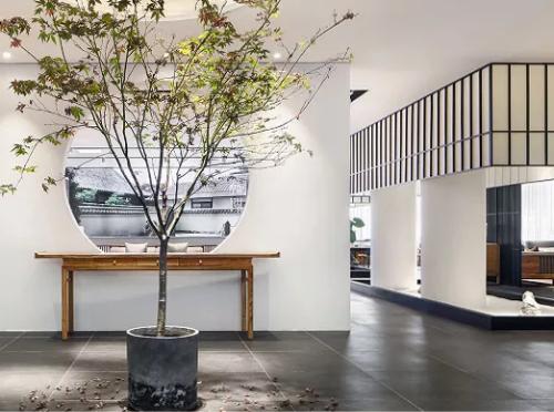 青舍行走｜大城隐士张军的「自在」路