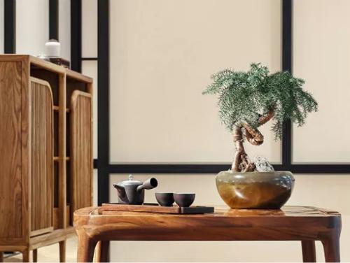 青舍行走｜大城隐士张军的「自在」路