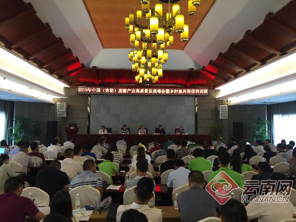 云南甘蔗产糖率,广西甘蔗最新产糖率