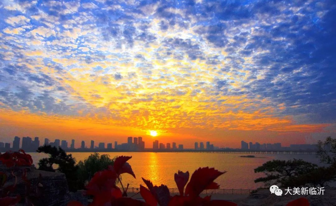 守沂蒙蓝|最新出炉，一大波蓝天美图来袭！