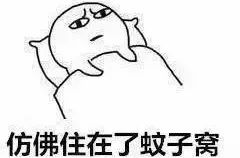 夏天车里有蚊子怎么治,夏天车内有蚊子怎么快速解决