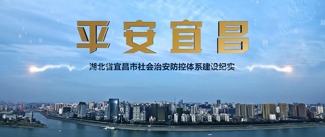 社会治安防控体系建设推进方案,社会治安防控体系建设工作情况