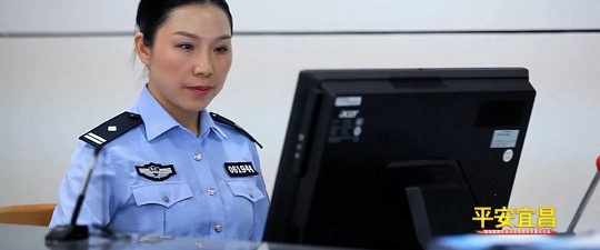 社会治安防控体系建设推进方案,社会治安防控体系建设工作情况