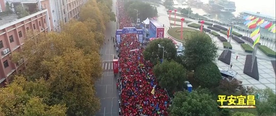 社会治安防控体系建设推进方案,社会治安防控体系建设工作情况