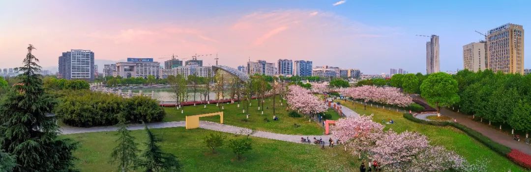 金华发展大会哪里召开,2019第二届金华发展大会举行