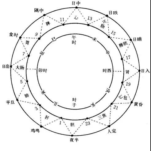 健身精丨还在“葛优瘫”追剧一整天？减肥十二时辰快了解一下