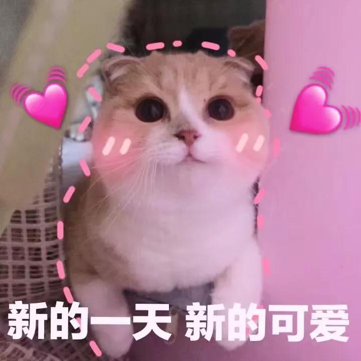 健身精丨还在“葛优瘫”追剧一整天？减肥十二时辰快了解一下