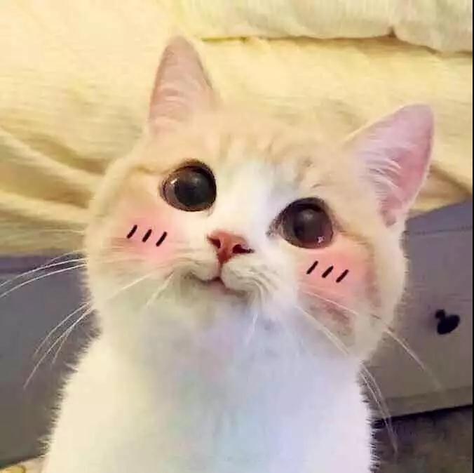 健身精丨还在“葛优瘫”追剧一整天？减肥十二时辰快了解一下