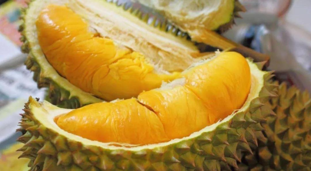 健身精丨还在“葛优瘫”追剧一整天？减肥十二时辰快了解一下