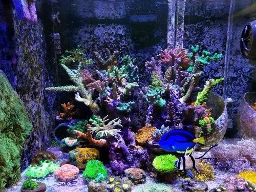 无蛋分无过滤还用自来水？实在是佩服