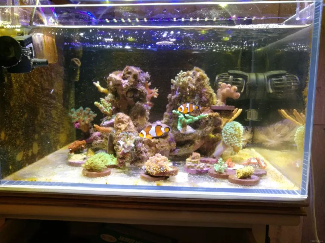 无蛋分无过滤还用自来水？实在是佩服