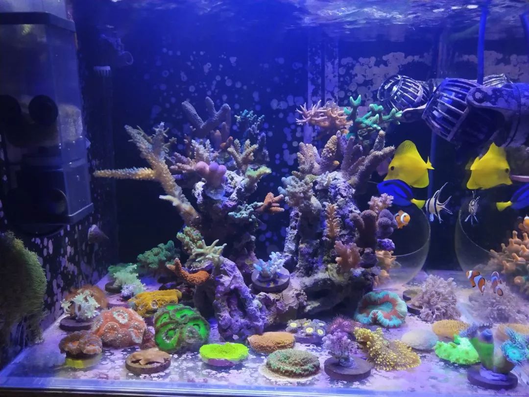 无蛋分无过滤还用自来水？实在是佩服