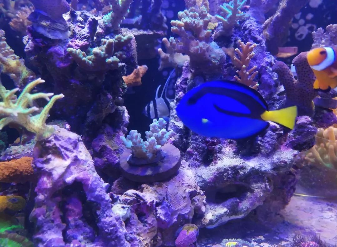 无蛋分无过滤还用自来水？实在是佩服