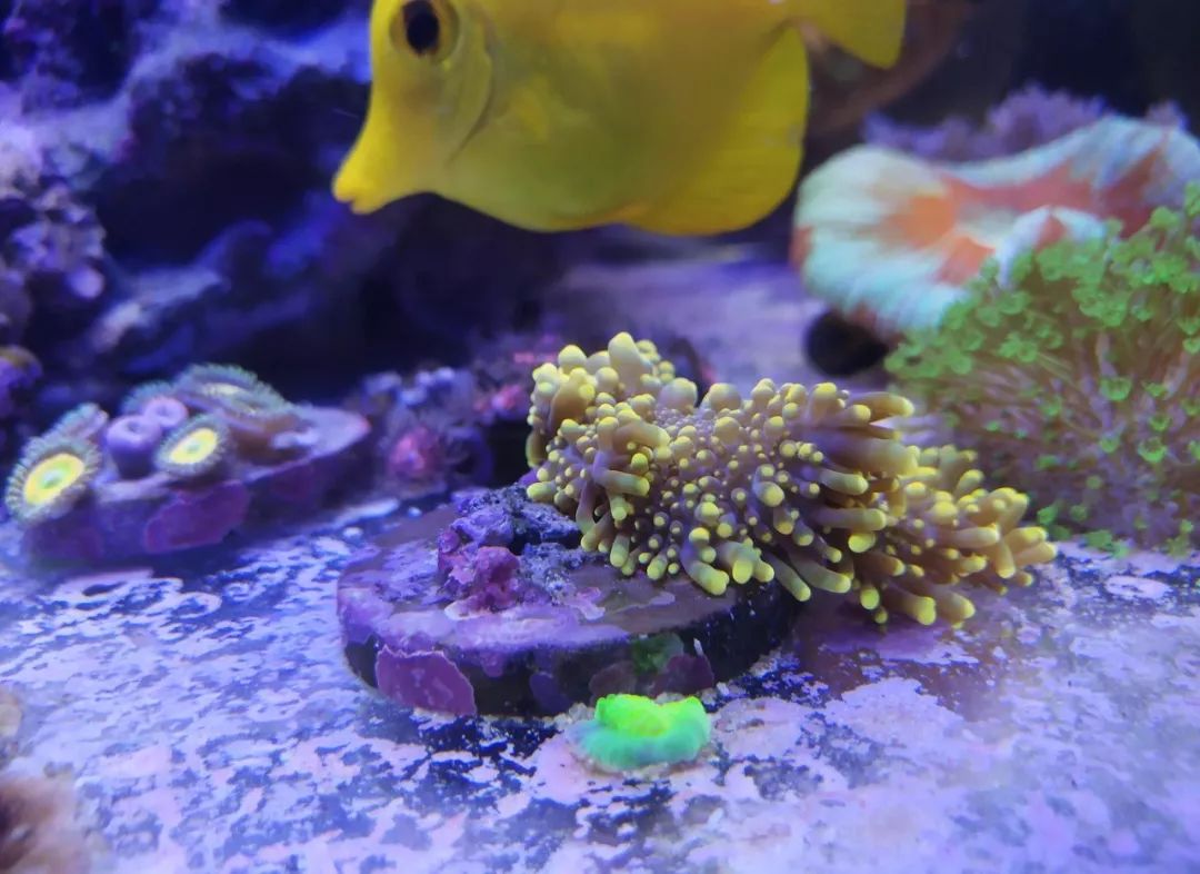 无蛋分无过滤还用自来水？实在是佩服