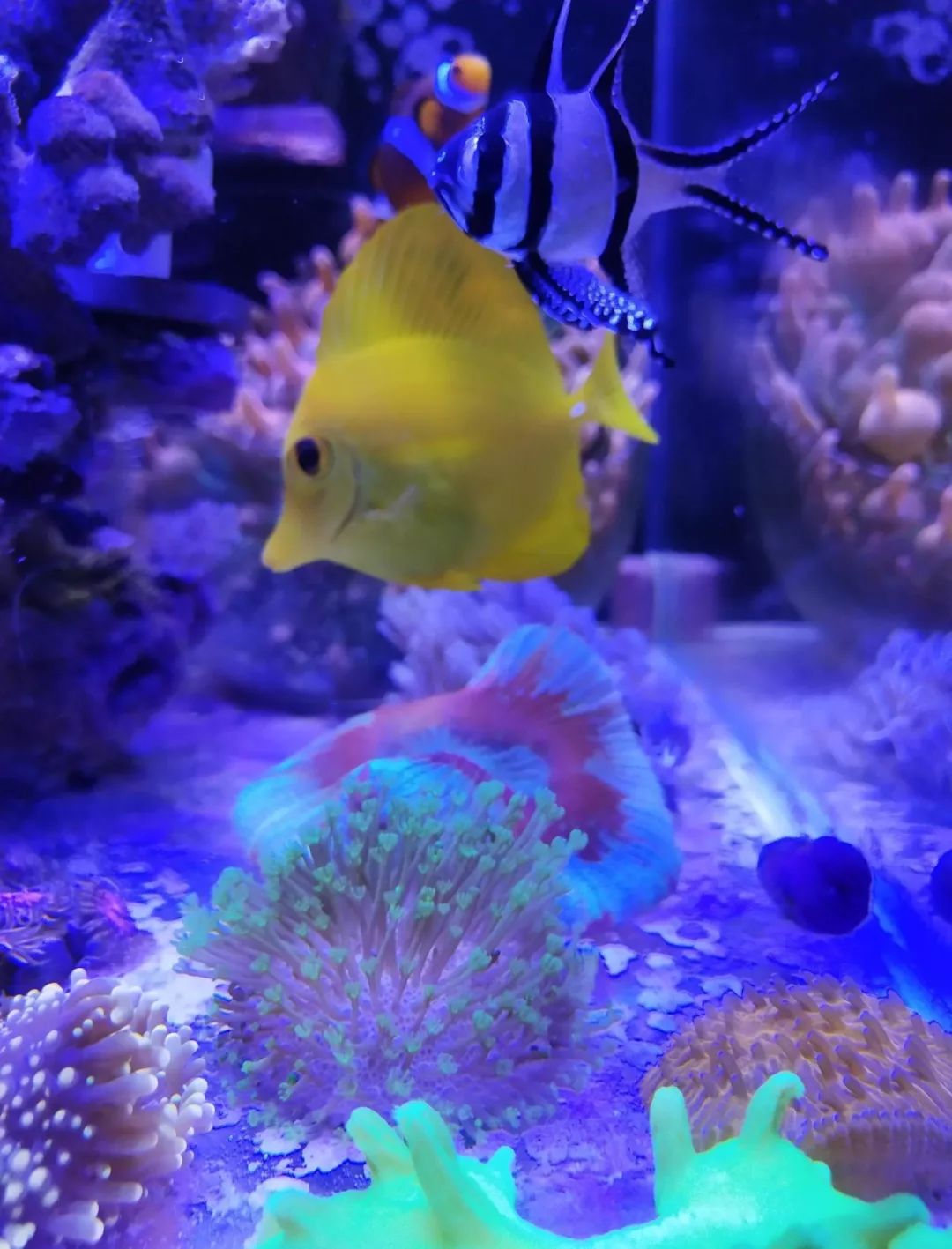 无蛋分无过滤还用自来水？实在是佩服