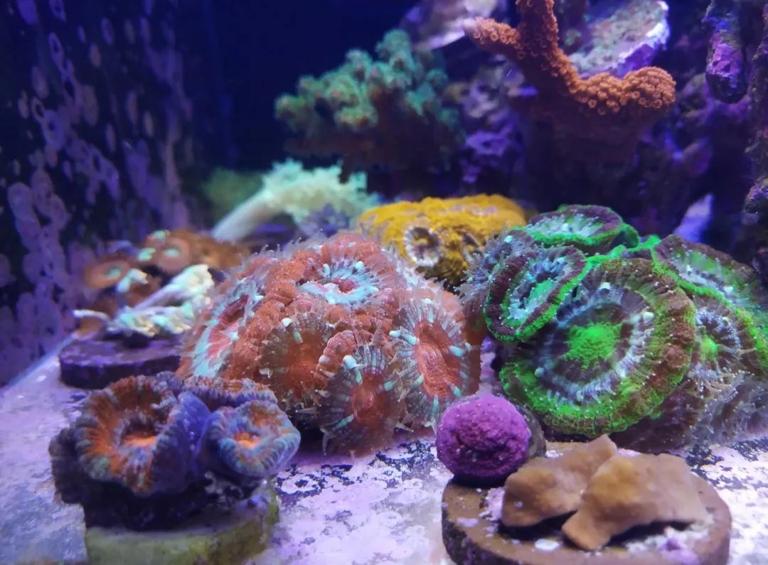 无蛋分无过滤还用自来水？实在是佩服