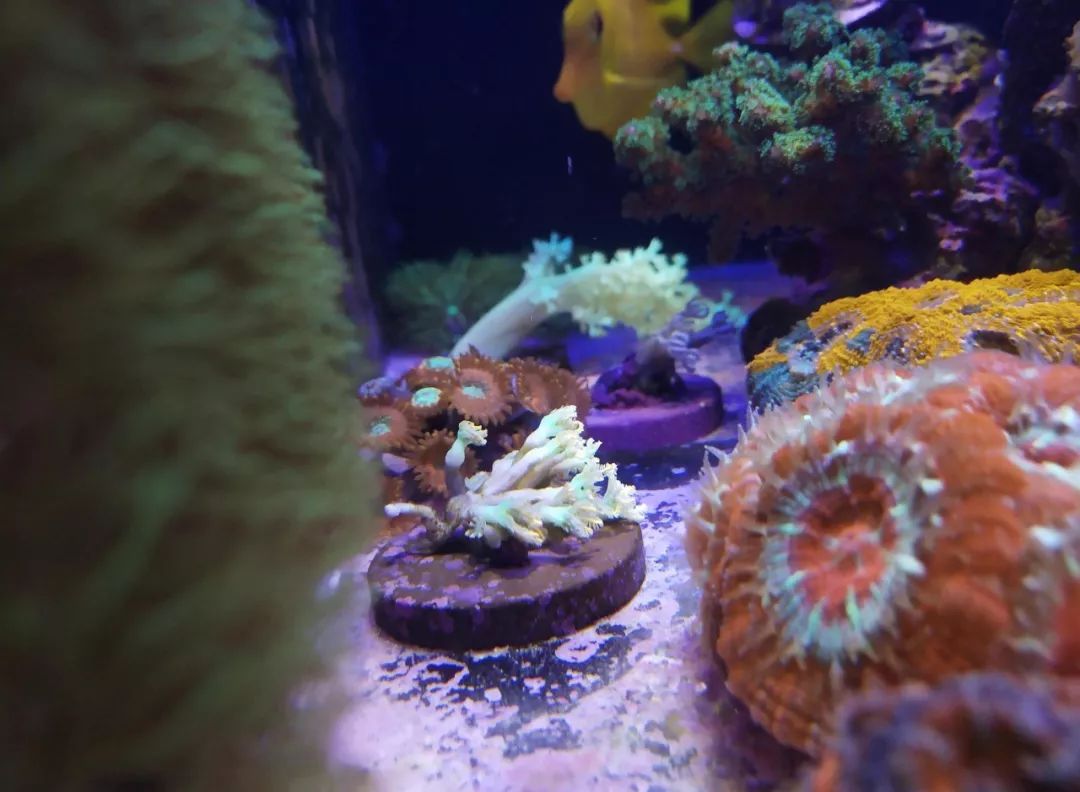 无蛋分无过滤还用自来水？实在是佩服