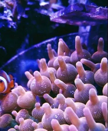 无蛋分无过滤还用自来水？实在是佩服