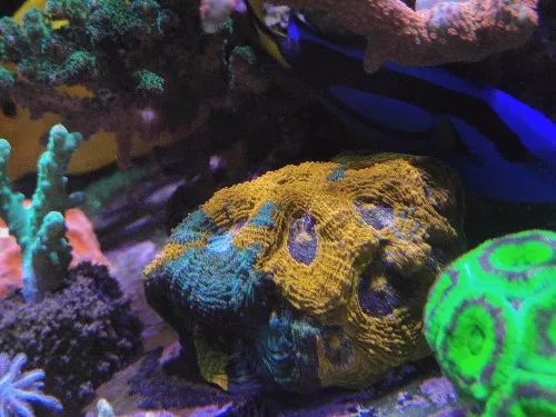 无蛋分无过滤还用自来水？实在是佩服