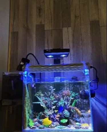 无蛋分无过滤还用自来水？实在是佩服